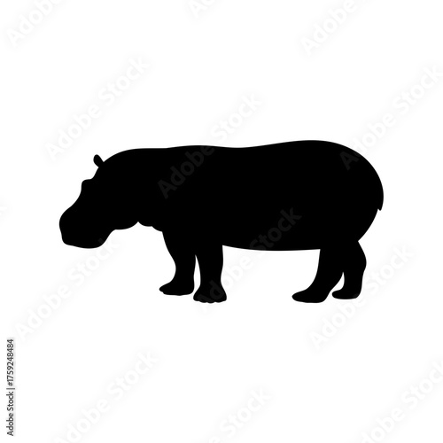 Silhouette of a hippopotamus standing on a white background, side view