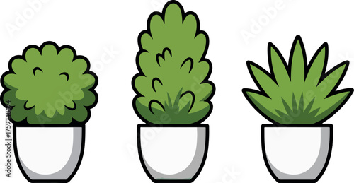 Collection of three potted plants, each with unique foliage shapes and white pots, ideal for adding a touch of nature to interior design projects