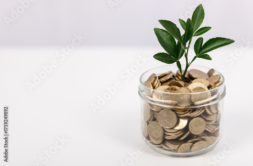 Photos Conceptual image of financial growth, representing investment, savings, and prosperity with a plant growing in a jar of coins