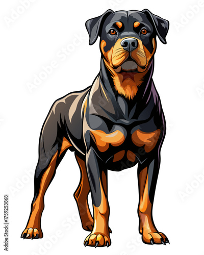 rotweiler dog,full body , real print Style, white background	