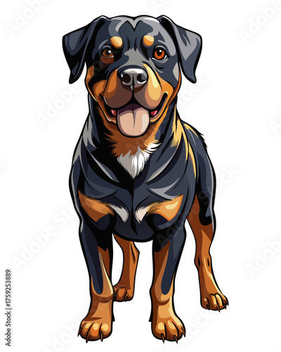 rotweiler dog,full body , real print Style, white background	