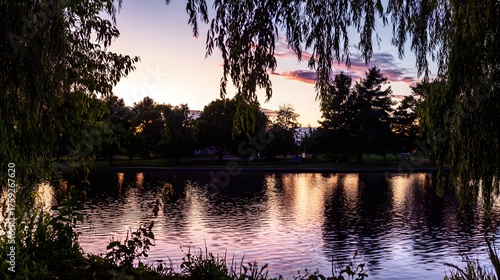 willow. Tranquil lakeside scene with weeping willow and pastel sky mirrored in calm waters. travel magazines, destination branding, designed for outdoor magazines and nature guides.