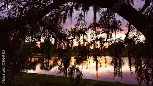 willow. Tranquil lakeside scene with weeping willow and pastel sky mirrored in calm waters. travel magazines, destination branding, designed for outdoor magazines and nature guides.