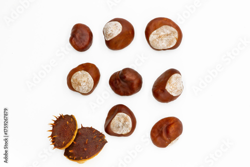 8 chestnuts and a thorny peel on a white background