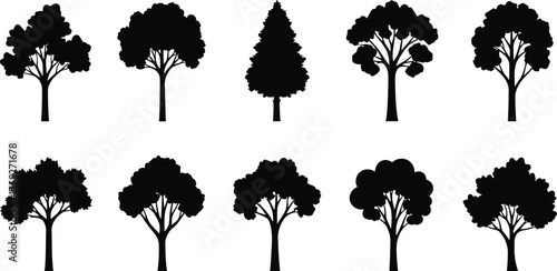 Vector art of set of diverse tree silhouettes isolated on a, showcasing various shapes and sizes of deciduous and evergreen trees for design elements