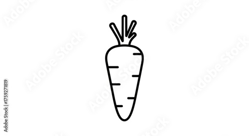Simple line drawing of a carrot, a nutritious root vegetable often used in salads and cooked dishes
