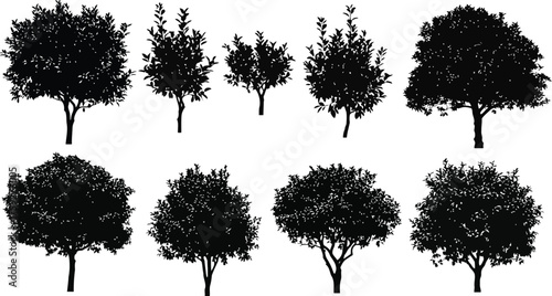 Vector art of set of eight black silhouette trees of varying sizes and shapes