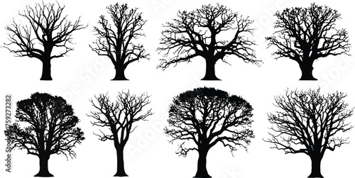 Vector art of collection of diverse black silhouette deciduous trees without leaves, isolated on a