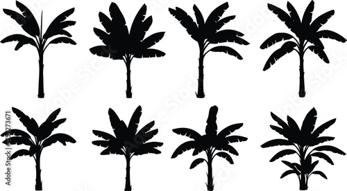 Vector art of collection of eight silhouettes of banana trees