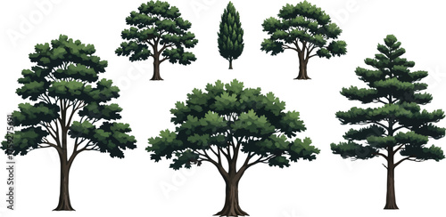 Vector art of set of six realistic green trees with detailed foliage and trunks