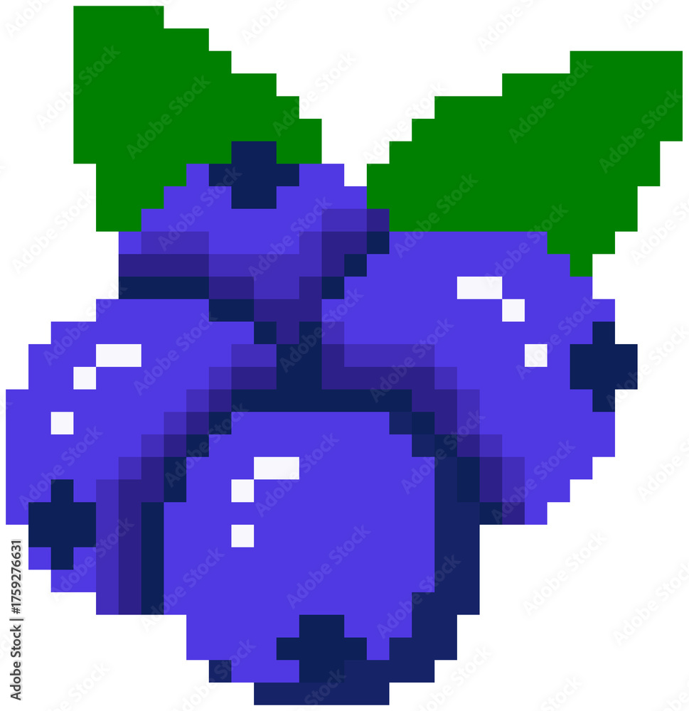 Obraz premium Blueberry