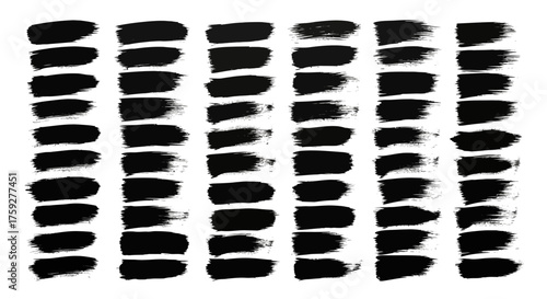 A Collection of Black Paint Brush Strokes on a White Background Showing Texture and Variation