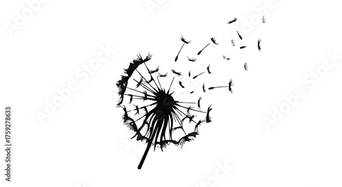 Delicate dandelion seeds scattering in the wind, symbolizing hope and new beginnings.