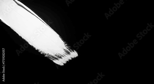 Abstract expressive white brush stroke on a solid black background representing a bold artistic statement