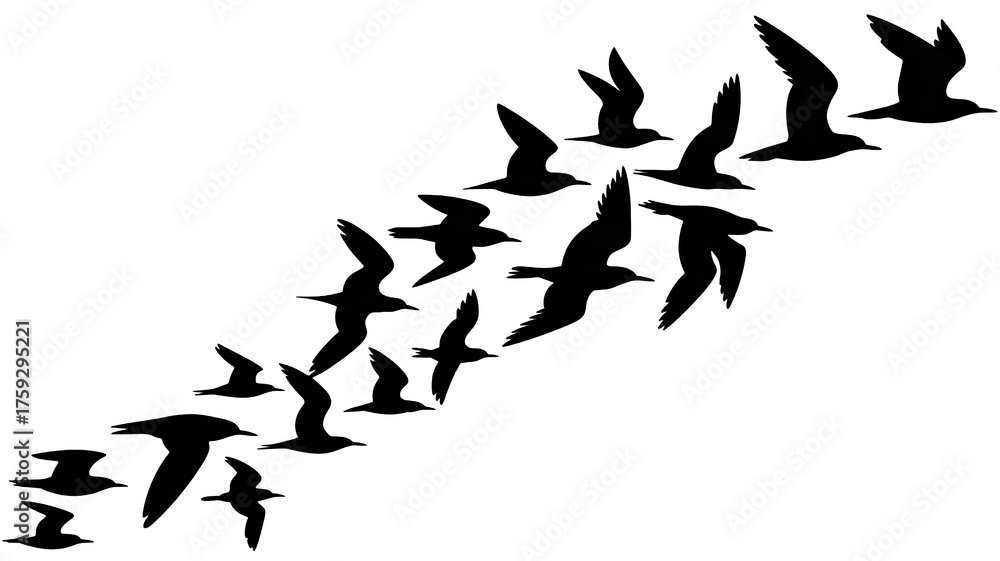Fototapeta premium Birds flying in formation for inspirational freedom concept