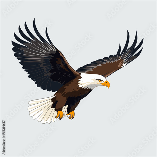 Mighty bald eagle vector illustration in full flight with spread wings. Detailed feathers, realistic colors (brown, white, yellow), powerful dynamic pose, isolated on a light gray background