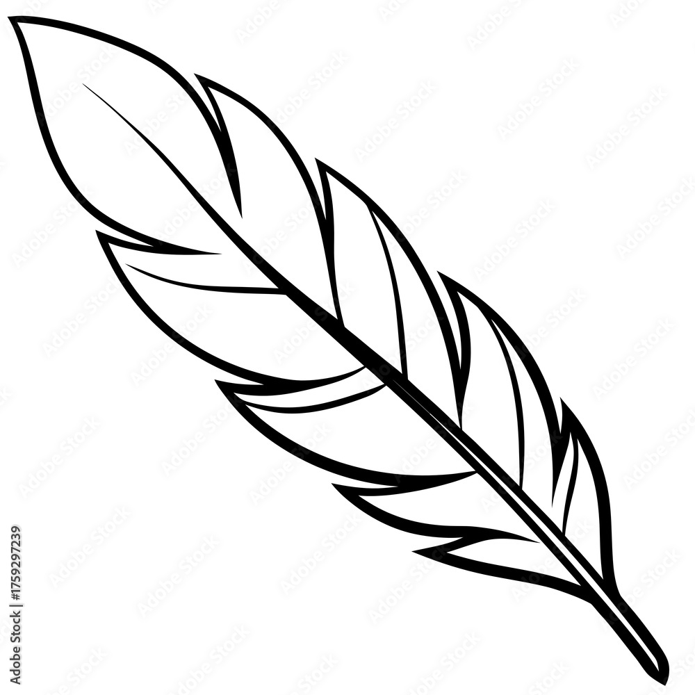 Obraz premium feather vector illustration