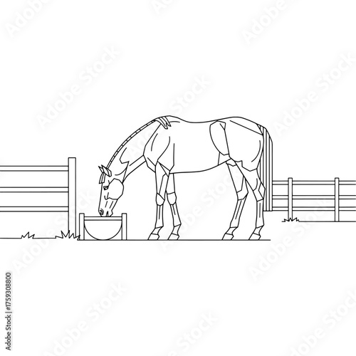 A thirsty horse drinking water from a pot in the farm yard. Animal care and healthy living concept. Suitable for veterinary or farm related projects. Black and white outline vector illustration.