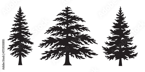 Cedar tree silhouette vector