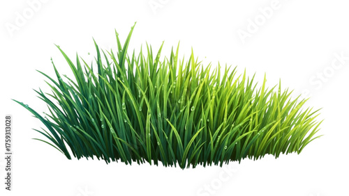 Vibrant clump of fresh green grass with glistening dew, perfect for natural and ecological designs and backgrounds