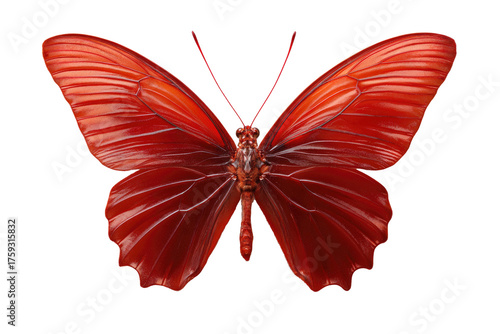 A vibrant red butterfly with delicate wings, captured against a stark, black background