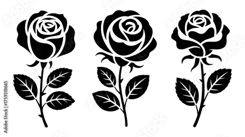 Elegant rose outlines for sophisticated designs and projects