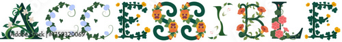 ACCESSIBLE, Floral Alphabet Typography Vector