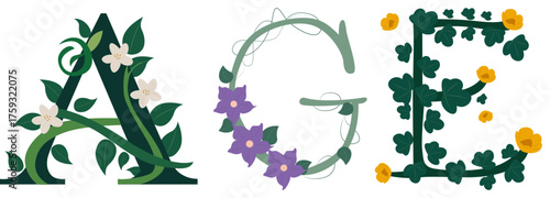AGE, Artistic Botanical Letter Print Design