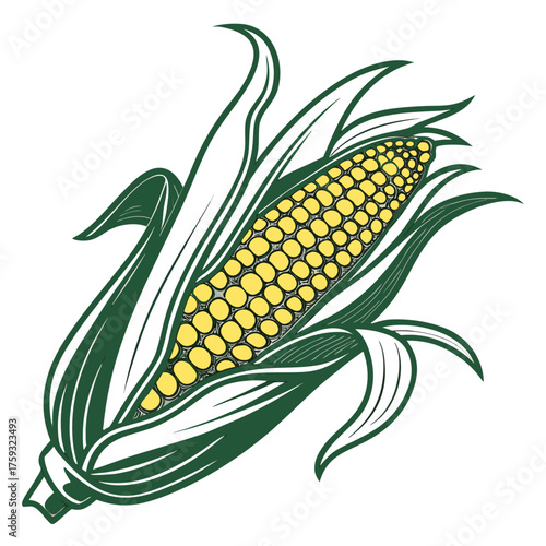delaware sweet corn with leaves
