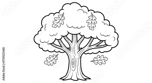 Autumn Oak Tree with Falling Leaves Educational Coloring Sheet for Kids