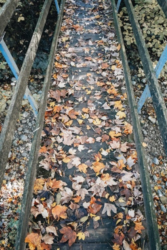 Wallpaper Mural Bridge in autumn Torontodigital.ca