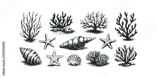Collection of hand drawn sea life objects
