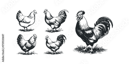 Collection of Vintage Style Roosters and Hens