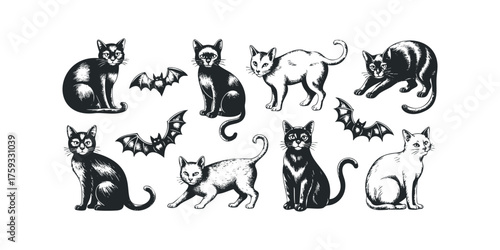 Collection of Feline Companions and Flying Bats
