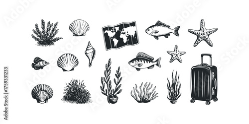 Collection of marine life, world map, and suitcase