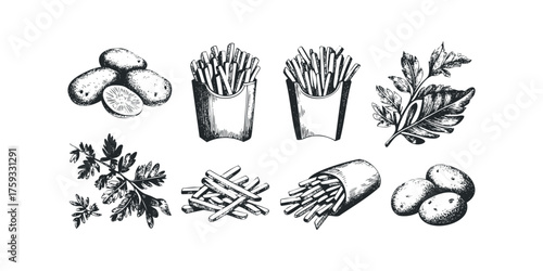 Hand Drawn Potato and French Fry Assortment
