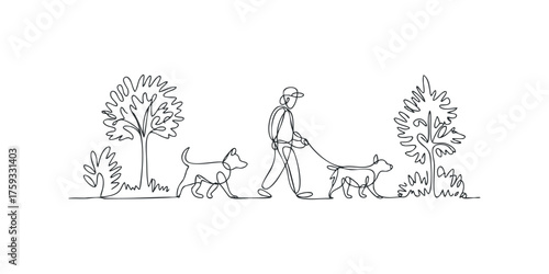 Person walking two dogs on leashes outdoors