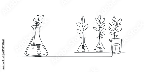 Botanical research with plants in laboratory glassware