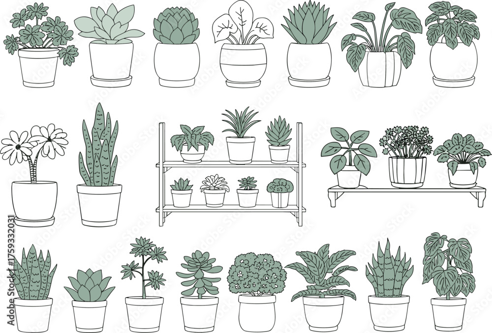 Fototapeta premium Collection of potted houseplants with green leaves and white pots potted plant indoor plant