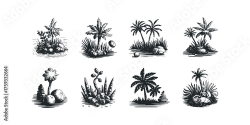 Tropical island vignettes with palm trees and rocks
