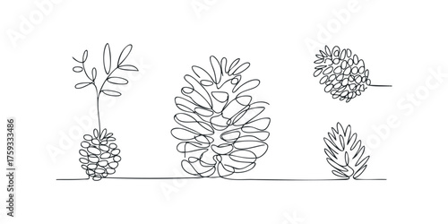Collection of pinecone and leaf line art elements