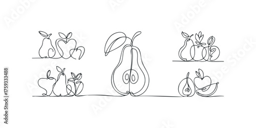 Continuous line drawing of apples and pears with leaves