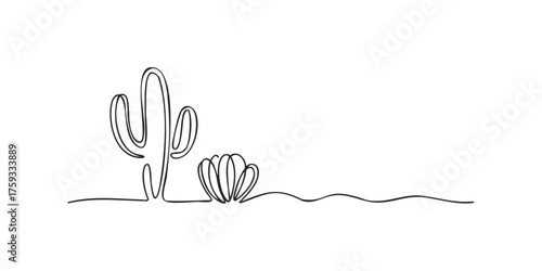 Line art cactus and succulent plant on sand