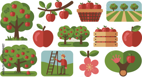 Flat Illustration of Apple Harvest Trees, Basket, Crate, Orchard and Worker With Ladder
