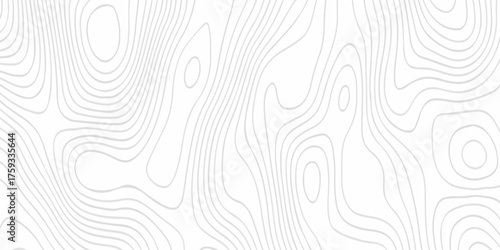 white topography map geography relief diagram texture design. Topography white background and black line world map texture design. Lines Topographic contour lines grid map seamless pattern.	