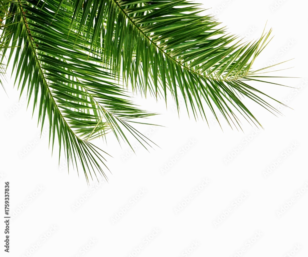 Obraz premium THANK - 10