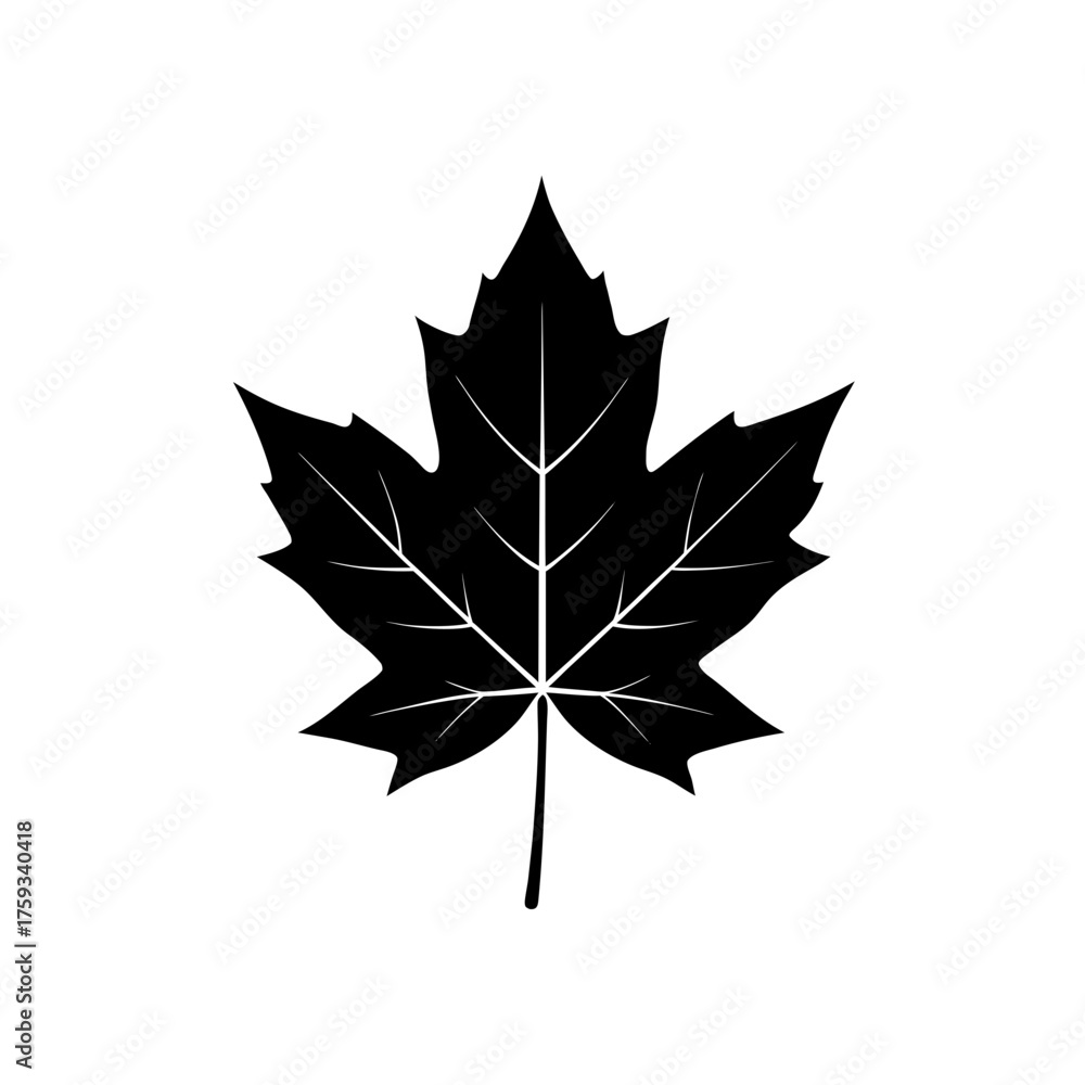 Naklejka premium maple leaf isolated on white