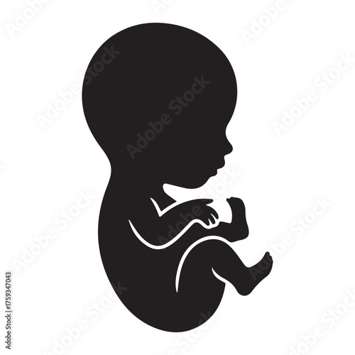 Silhouette of a fetus in a womb isolated on white background  Silhouette of a human fetus in profile isolated on white background