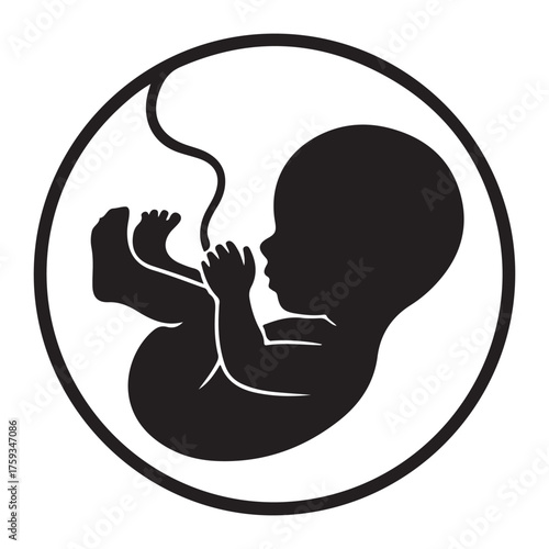 Silhouette of a fetus in a womb isolated on white background  Silhouette of a human fetus in profile isolated on white background