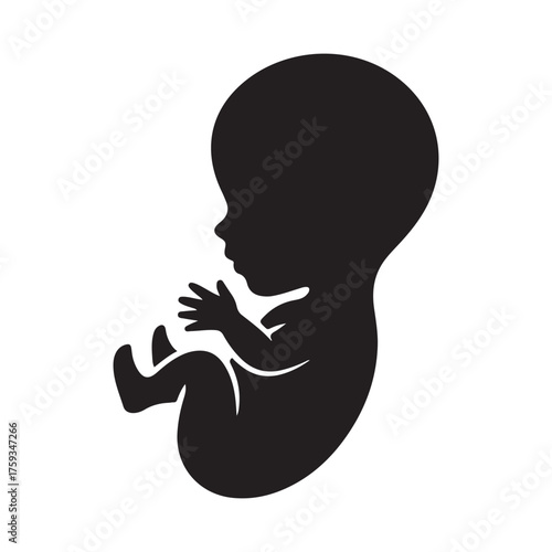 Silhouette of a fetus in a womb isolated on white background  Silhouette of a human fetus in profile isolated on white background